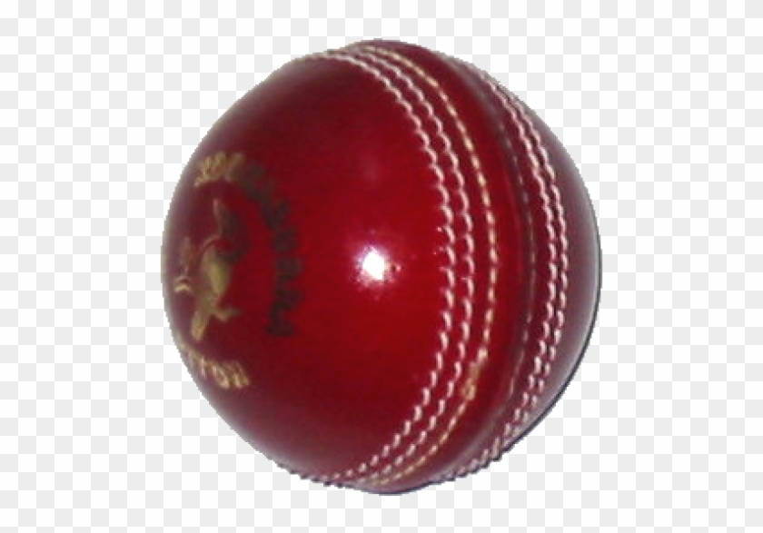 Detail Cricket Ball Png Nomer 37