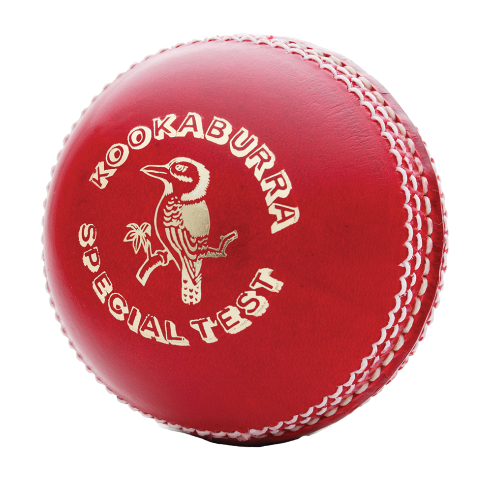 Detail Cricket Ball Png Nomer 41