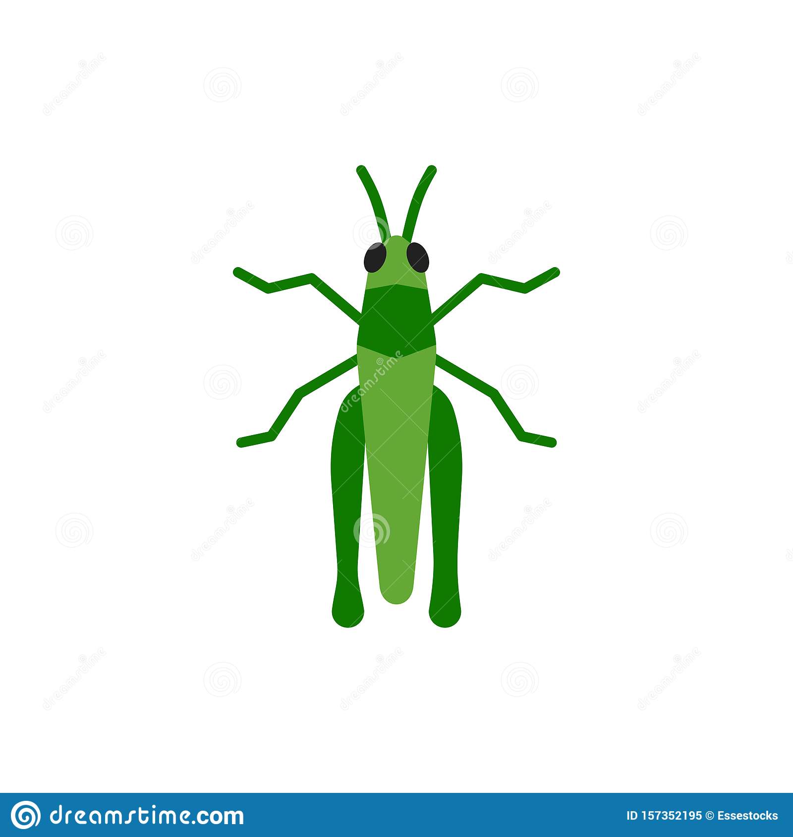 Detail Cricket Bug Nomer 50