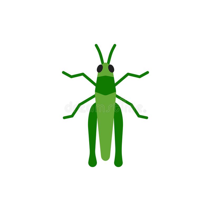 Detail Cricket Bug Images Nomer 26