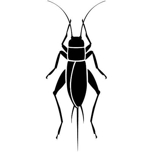 Detail Cricket Bug Images Nomer 27