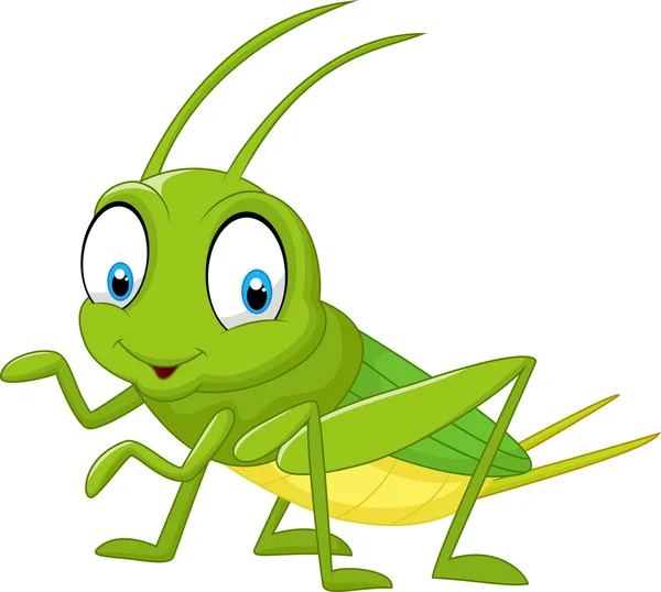 Detail Cricket Bug Images Nomer 29