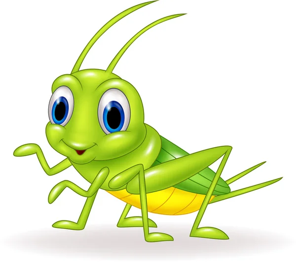 Detail Cricket Bug Images Nomer 33