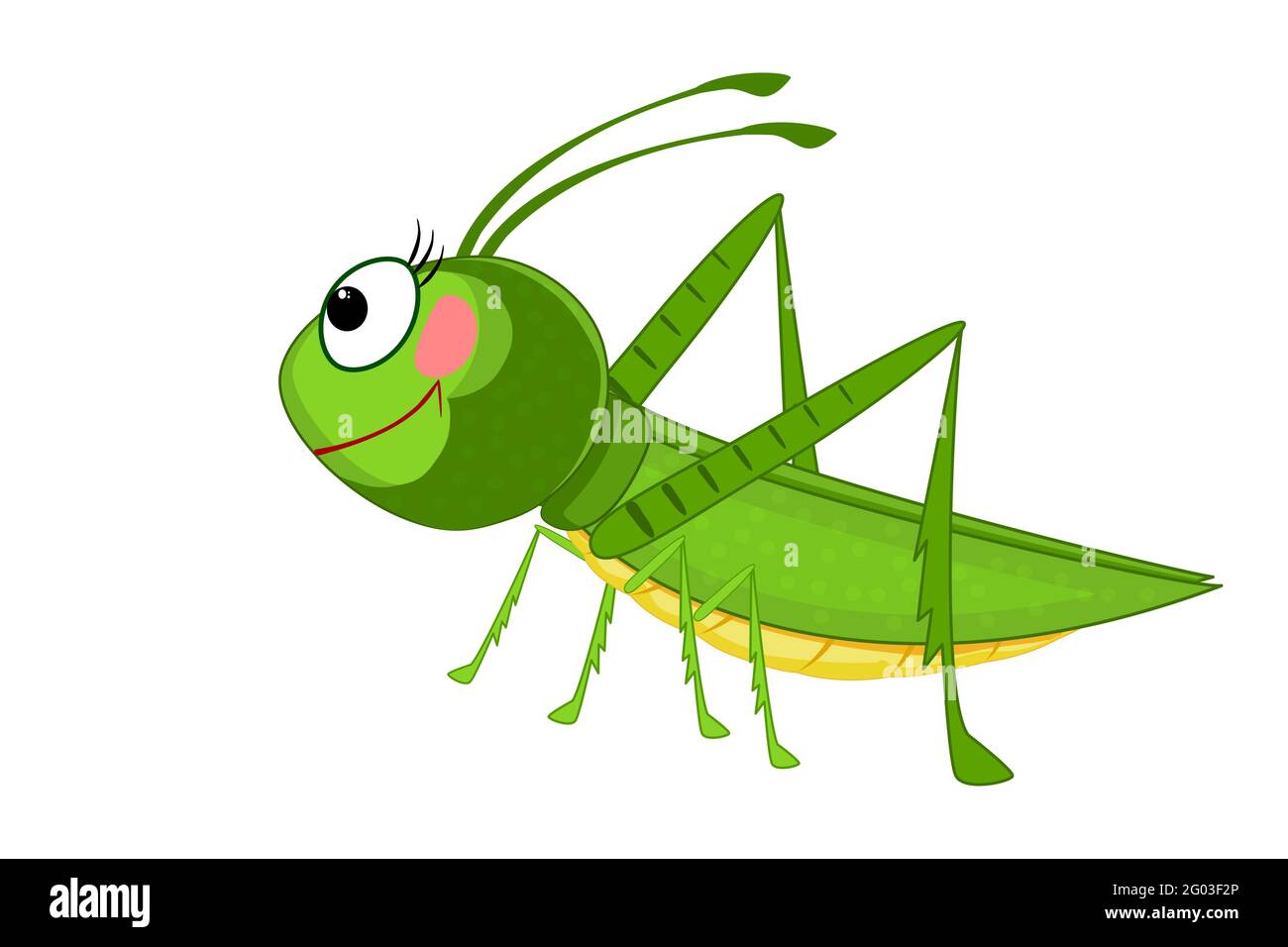 Detail Cricket Bug Images Nomer 55
