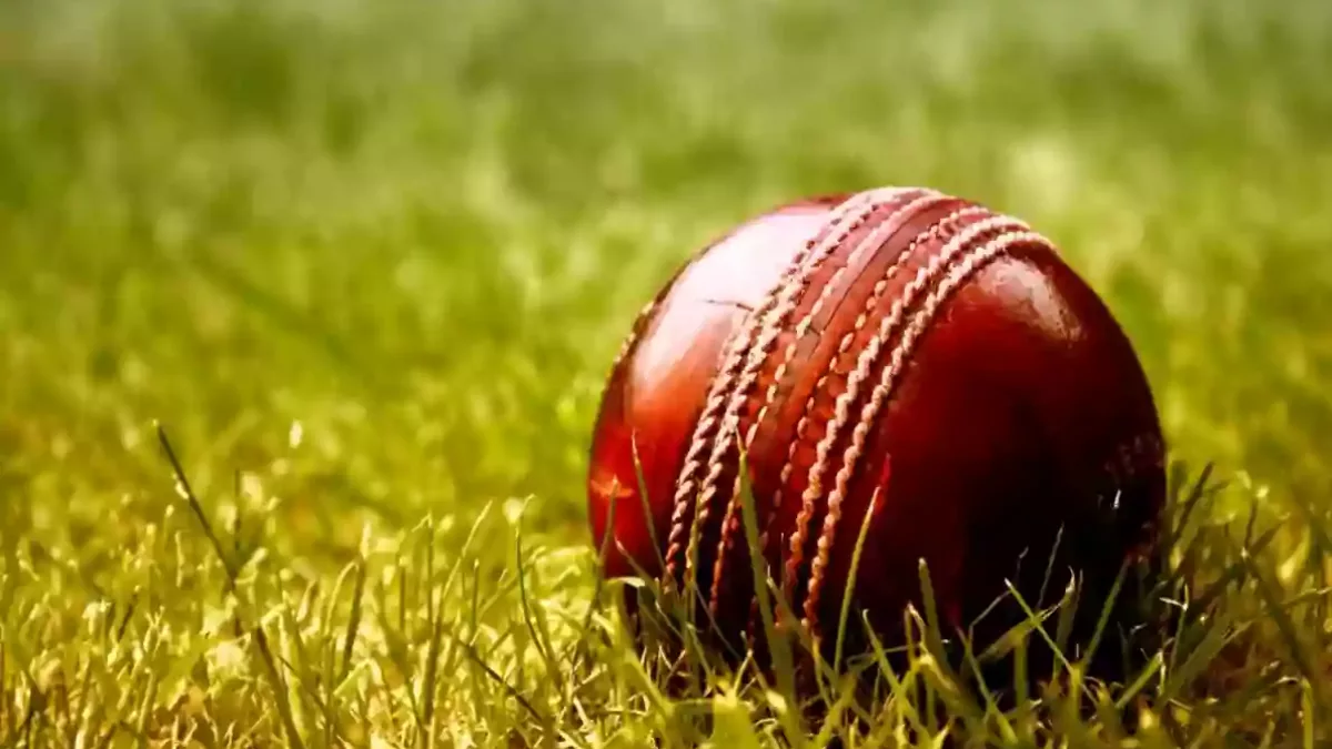 Detail Cricket Images Nomer 38