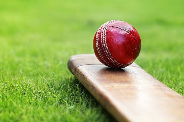 Detail Cricket Images Free Download Nomer 2