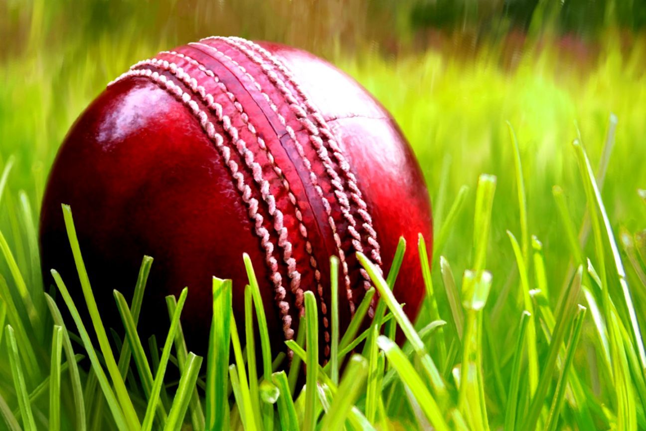 Detail Cricket Images Free Download Nomer 13