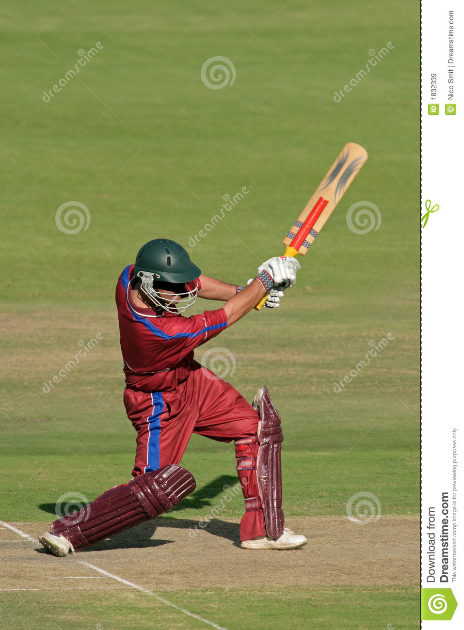 Detail Cricket Images Free Download Nomer 22