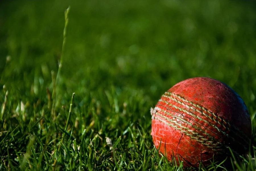 Detail Cricket Images Free Download Nomer 24