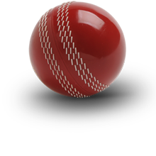 Detail Cricket Images Free Download Nomer 29