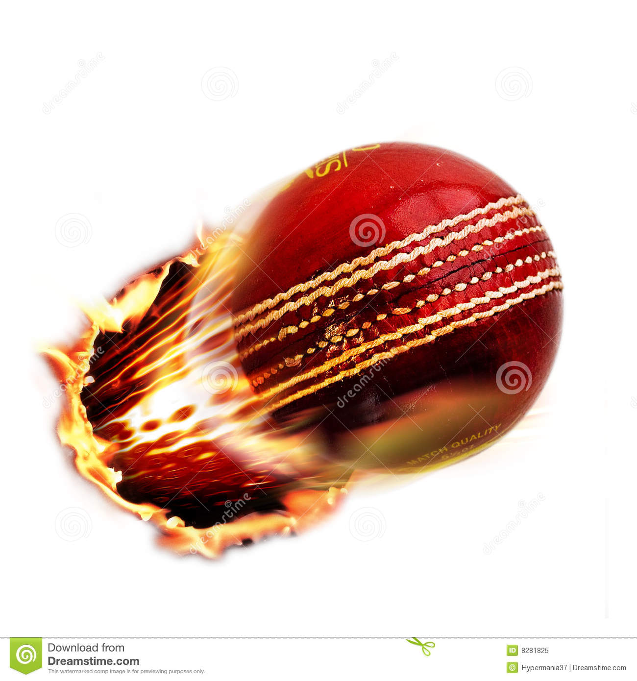 Detail Cricket Images Free Download Nomer 51