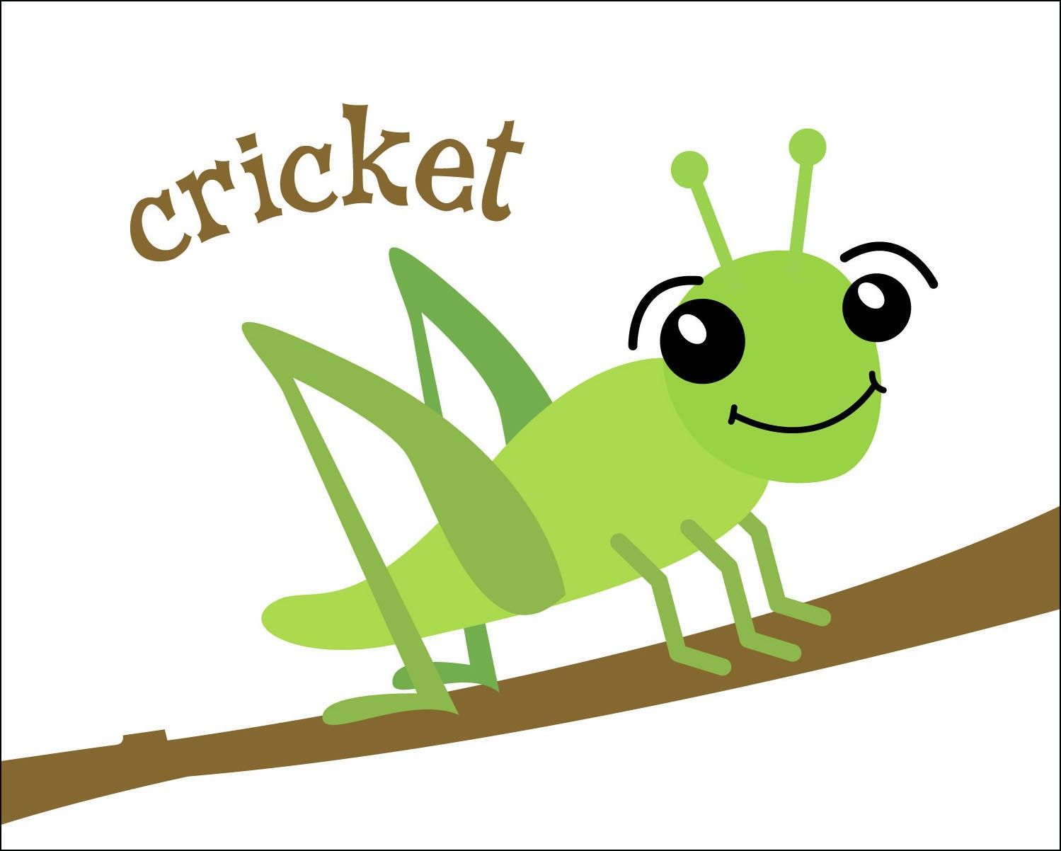 Detail Cricket Images Insect Nomer 43