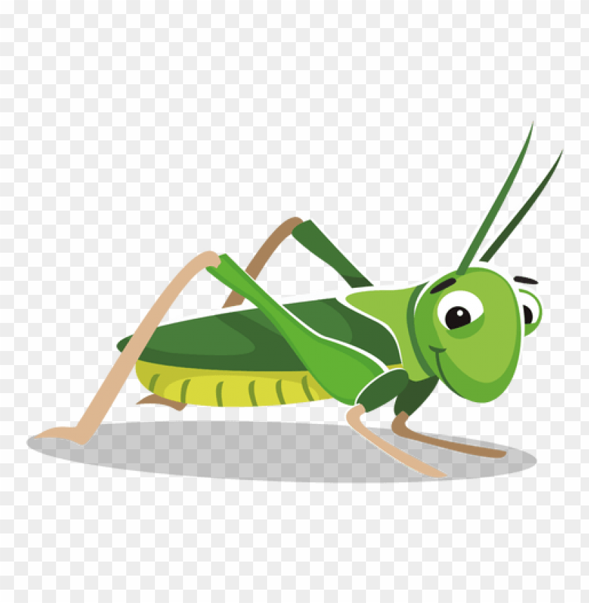 Detail Cricket Insect Png Nomer 12