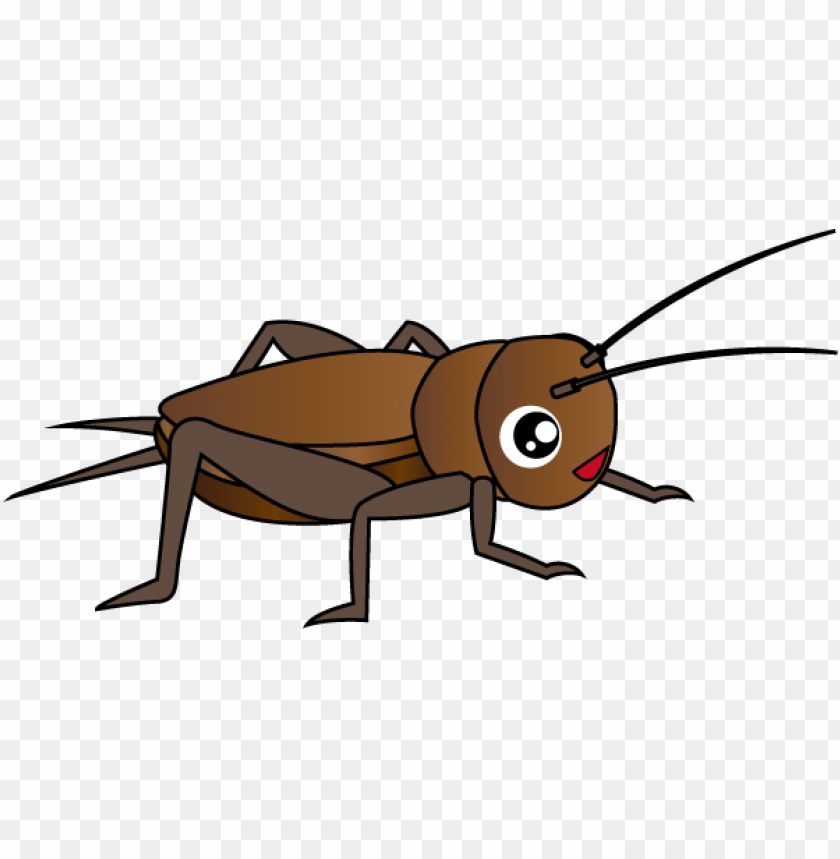 Detail Cricket Insect Png Nomer 22