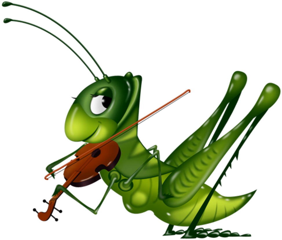 Detail Cricket Insect Png Nomer 47