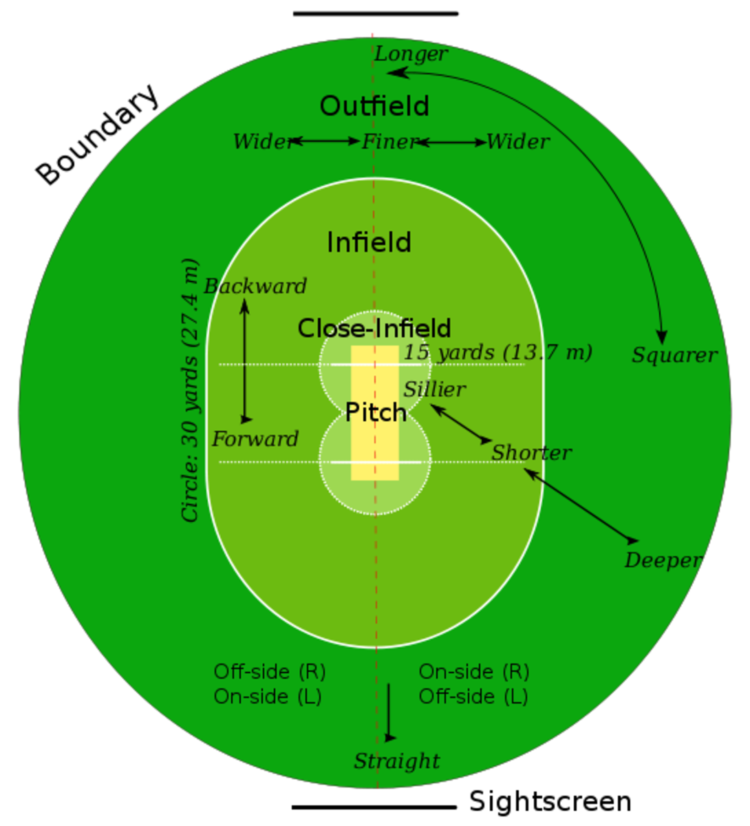 Detail Cricket Play Image Nomer 45