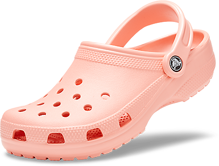 Detail Croc Shoe Png Nomer 13