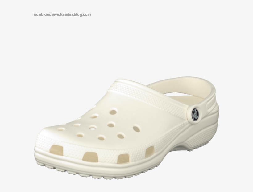 Detail Croc Shoe Png Nomer 44