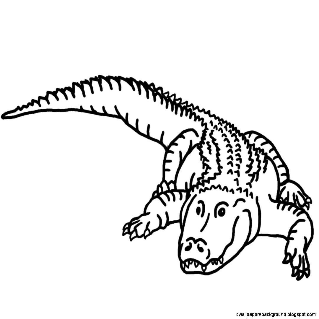 Detail Crocodile Clipart Black And White Nomer 14