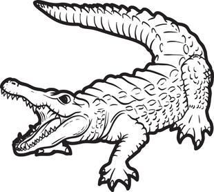 Detail Crocodile Clipart Black And White Nomer 37