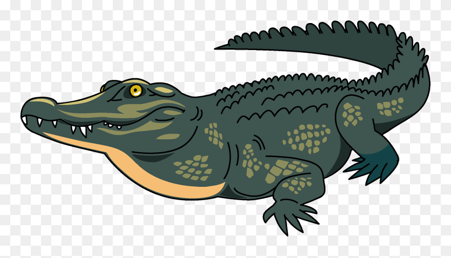 Detail Crocodile Clipart Png Nomer 3