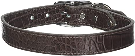 Detail Crocodile Dog Collar Nomer 11