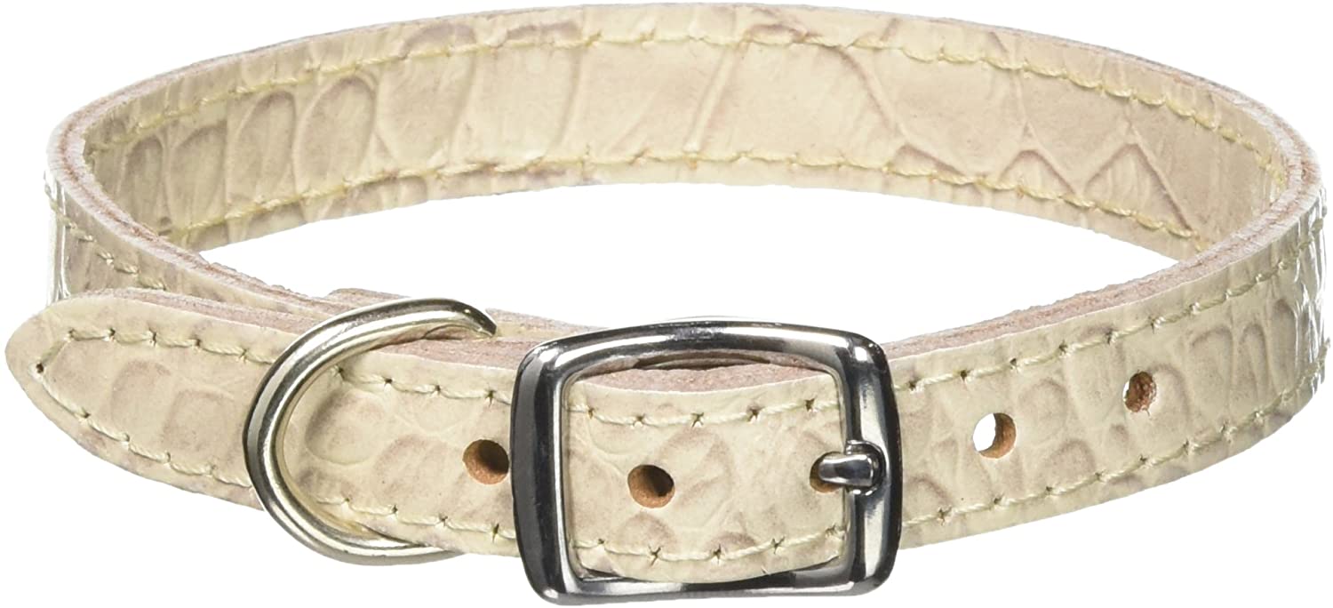 Detail Crocodile Dog Collar Nomer 17