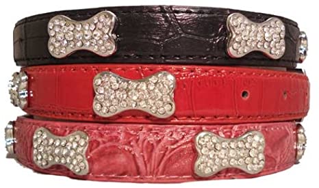 Detail Crocodile Dog Collar Nomer 18