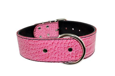 Detail Crocodile Dog Collar Nomer 52