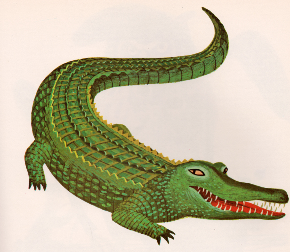 Detail Crocodile Illustrations Nomer 4