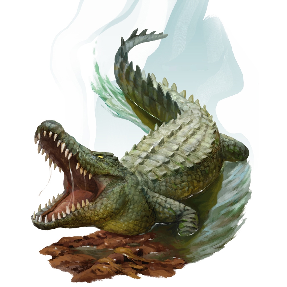 Detail Crocodile Image Nomer 38