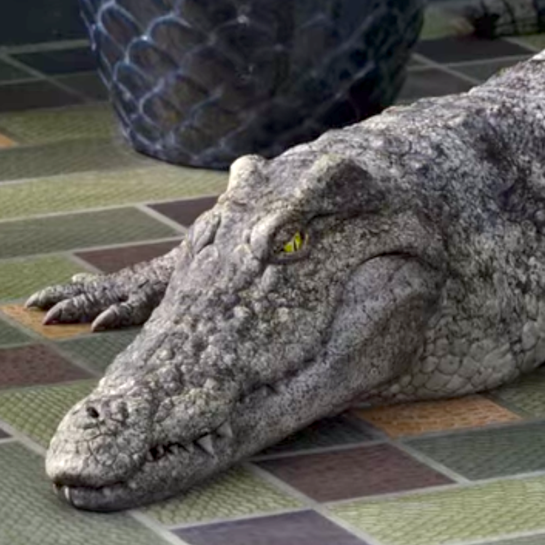 Detail Crocodile Image Nomer 51