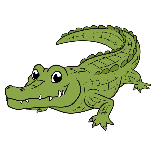 Detail Crocodile Image Nomer 9