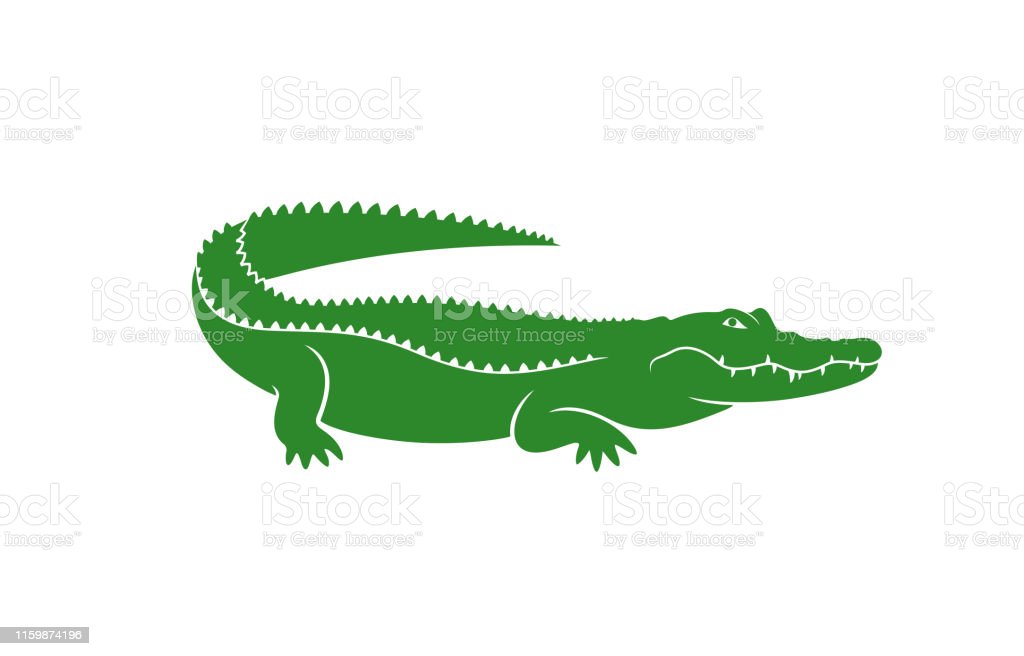 Detail Crocodile Logo Vector Nomer 37