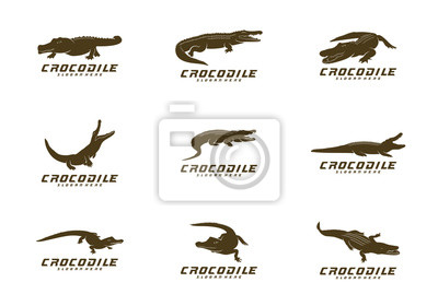 Detail Crocodile Logo Vector Nomer 45