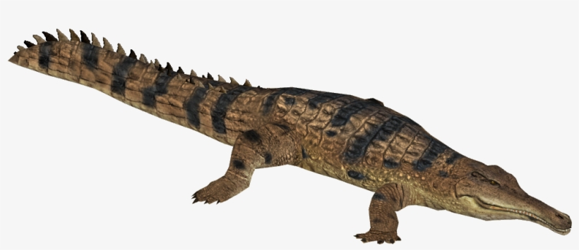 Detail Crocodile Png Nomer 52