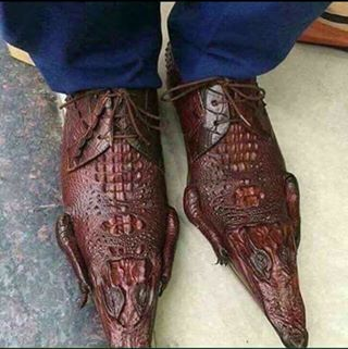Detail Crocodile Shoes Meme Nomer 2