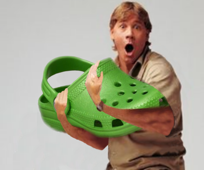 Detail Crocodile Shoes Meme Nomer 16