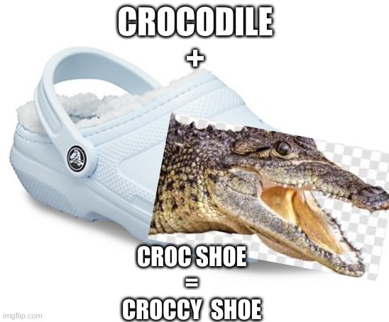 Detail Crocodile Shoes Meme Nomer 10