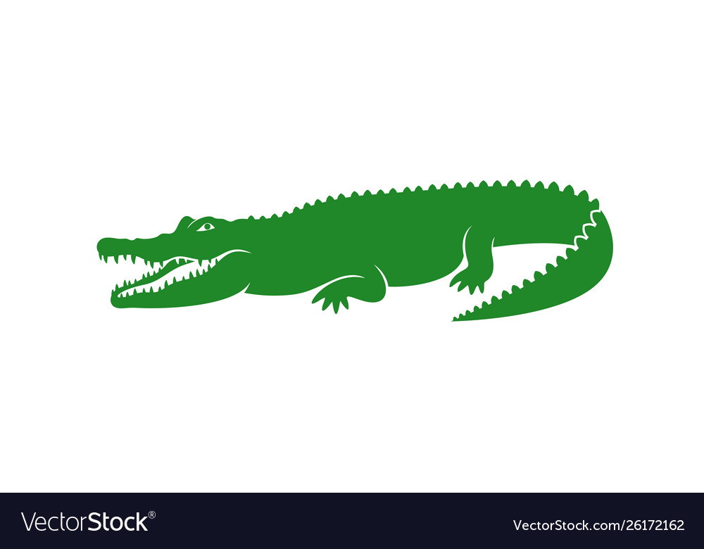 Detail Crocodile Vector Nomer 2