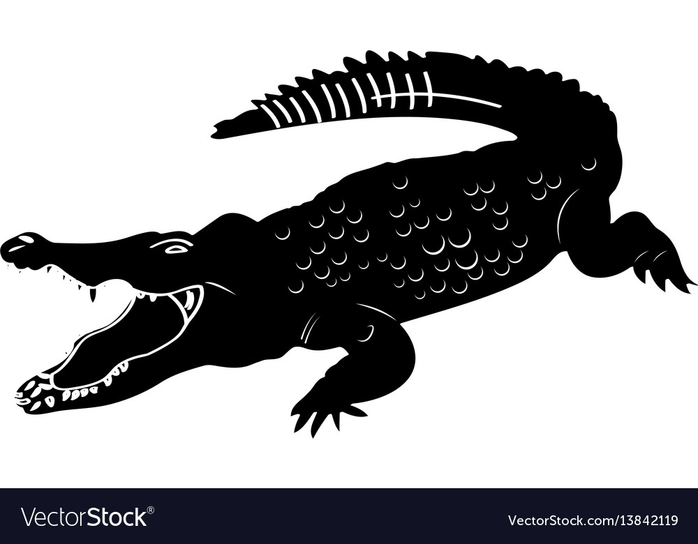 Detail Crocodile Vector Nomer 16