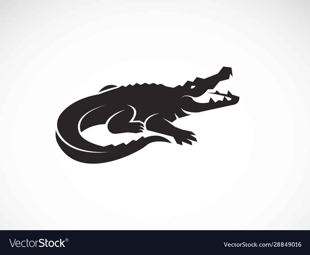 Detail Crocodile Vector Nomer 19