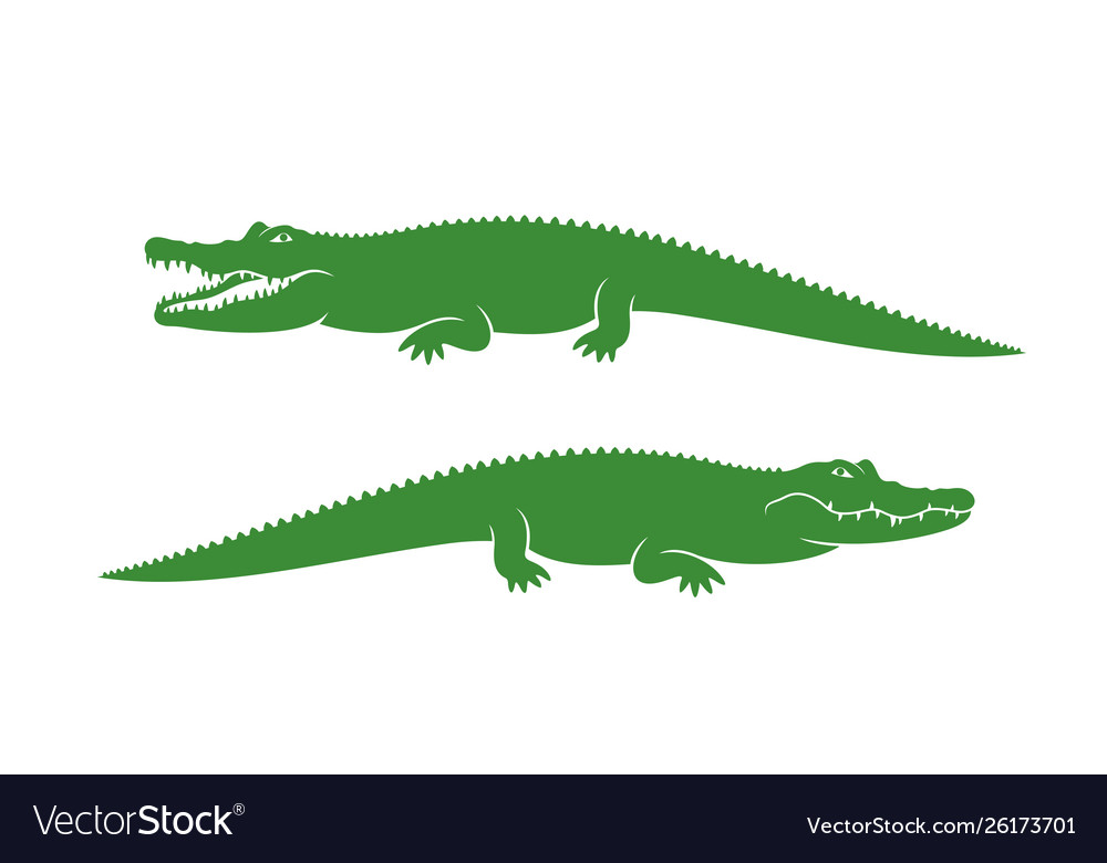 Detail Crocodile Vector Nomer 23