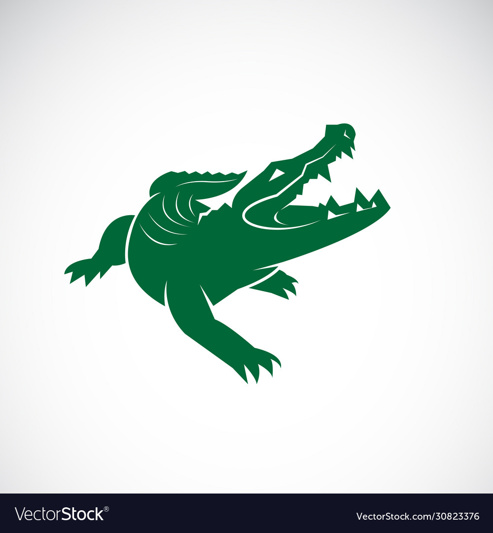 Detail Crocodile Vector Nomer 25