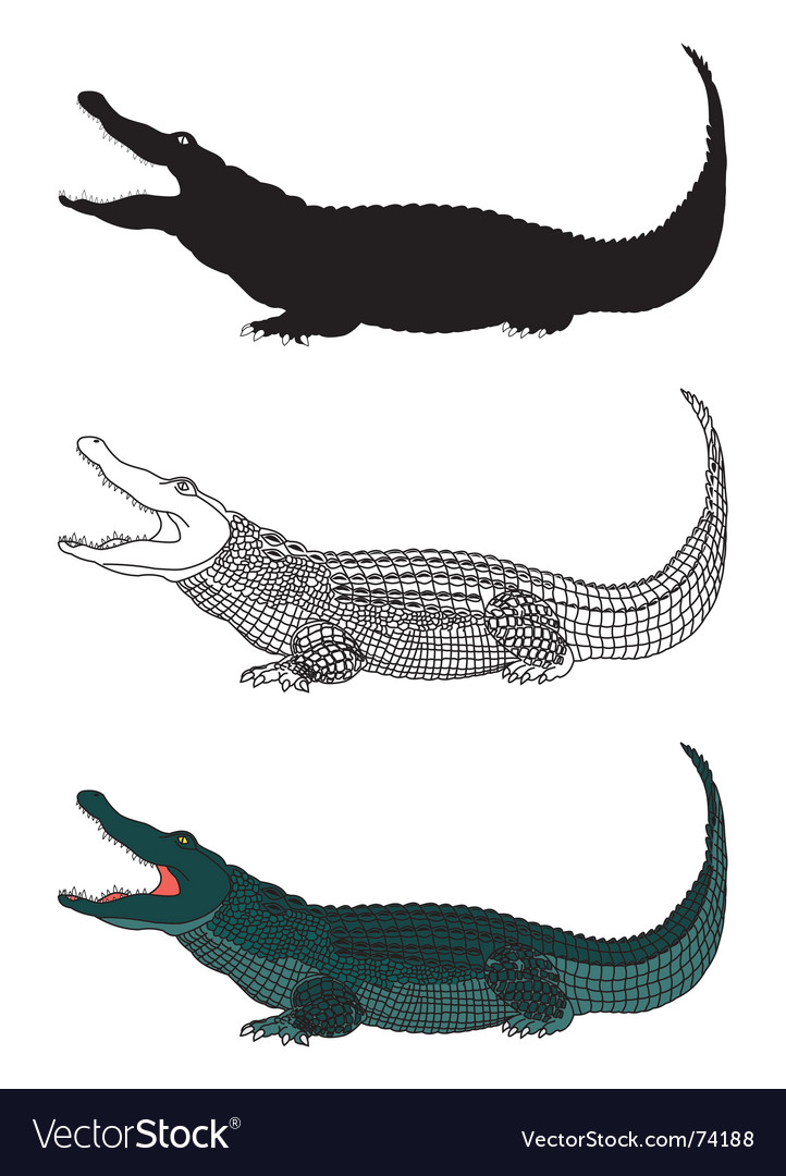 Detail Crocodile Vector Nomer 29