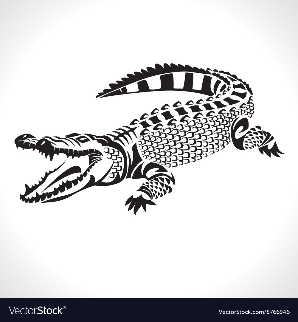 Detail Crocodile Vector Nomer 4