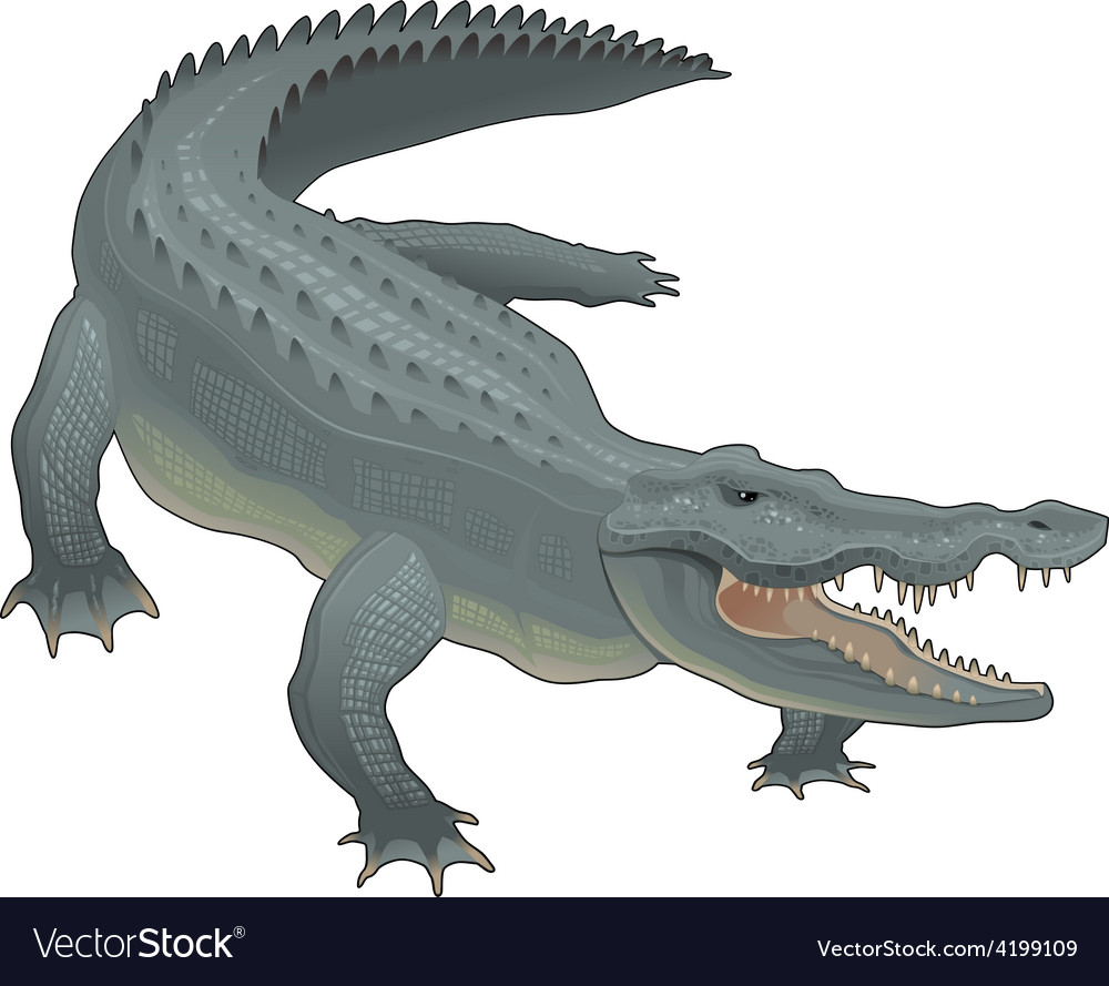 Detail Crocodile Vector Nomer 34