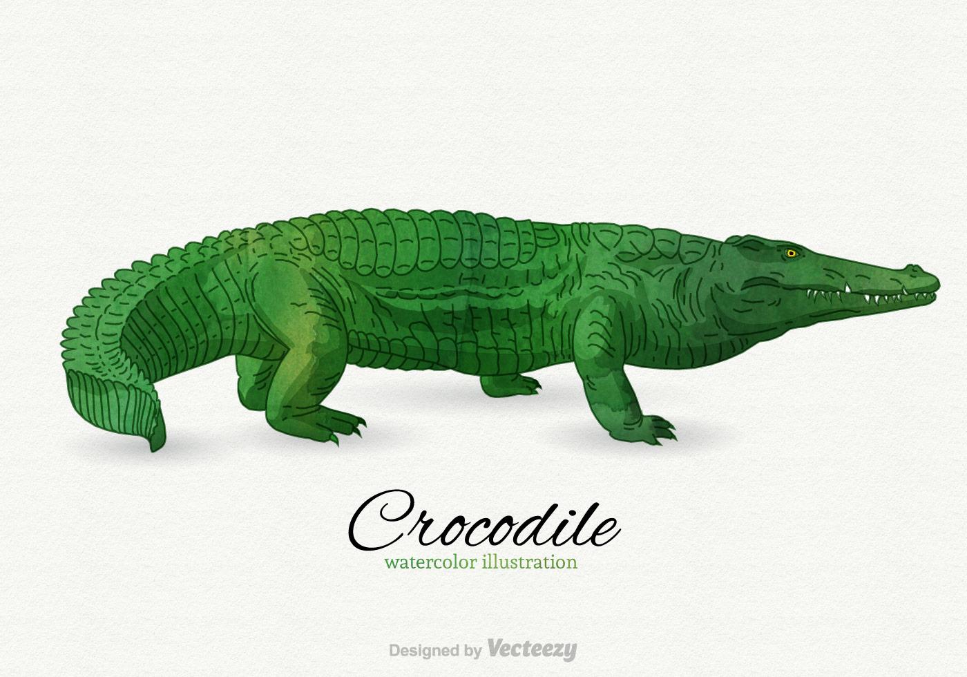 Detail Crocodile Vector Nomer 41