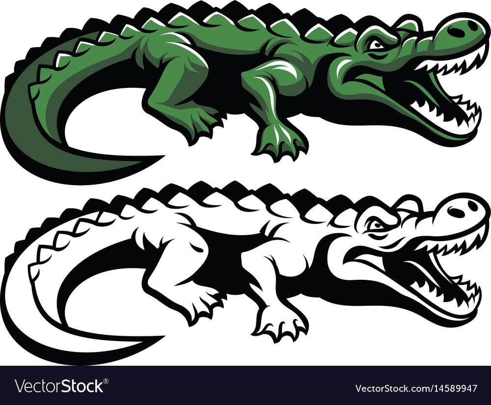 Detail Crocodile Vector Nomer 6