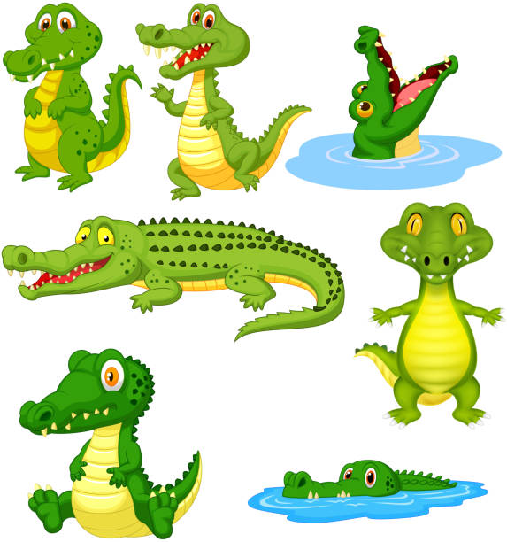 Detail Crocodile Vector Nomer 49